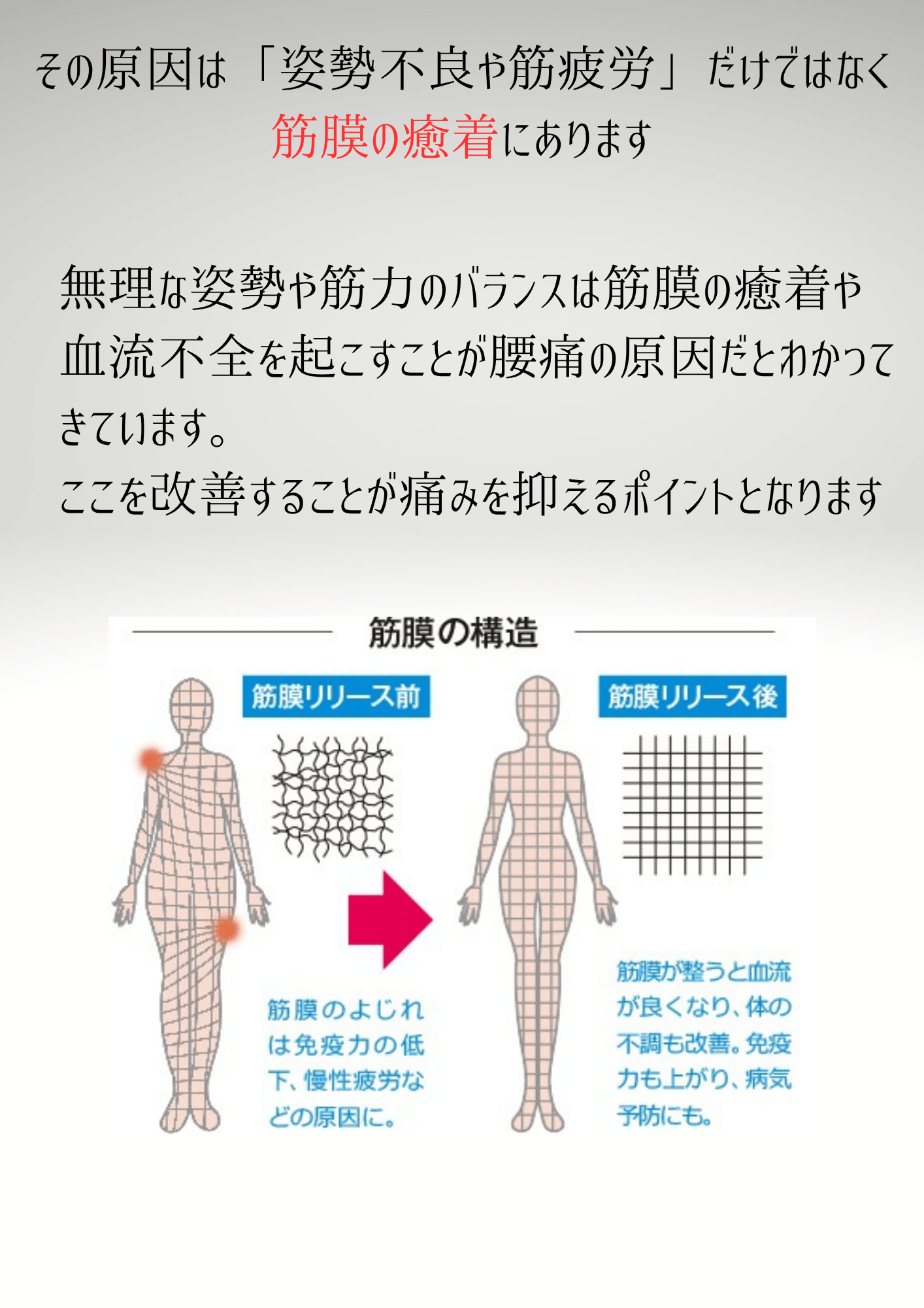 豊中市 腰痛専門院 - 3 (1)
