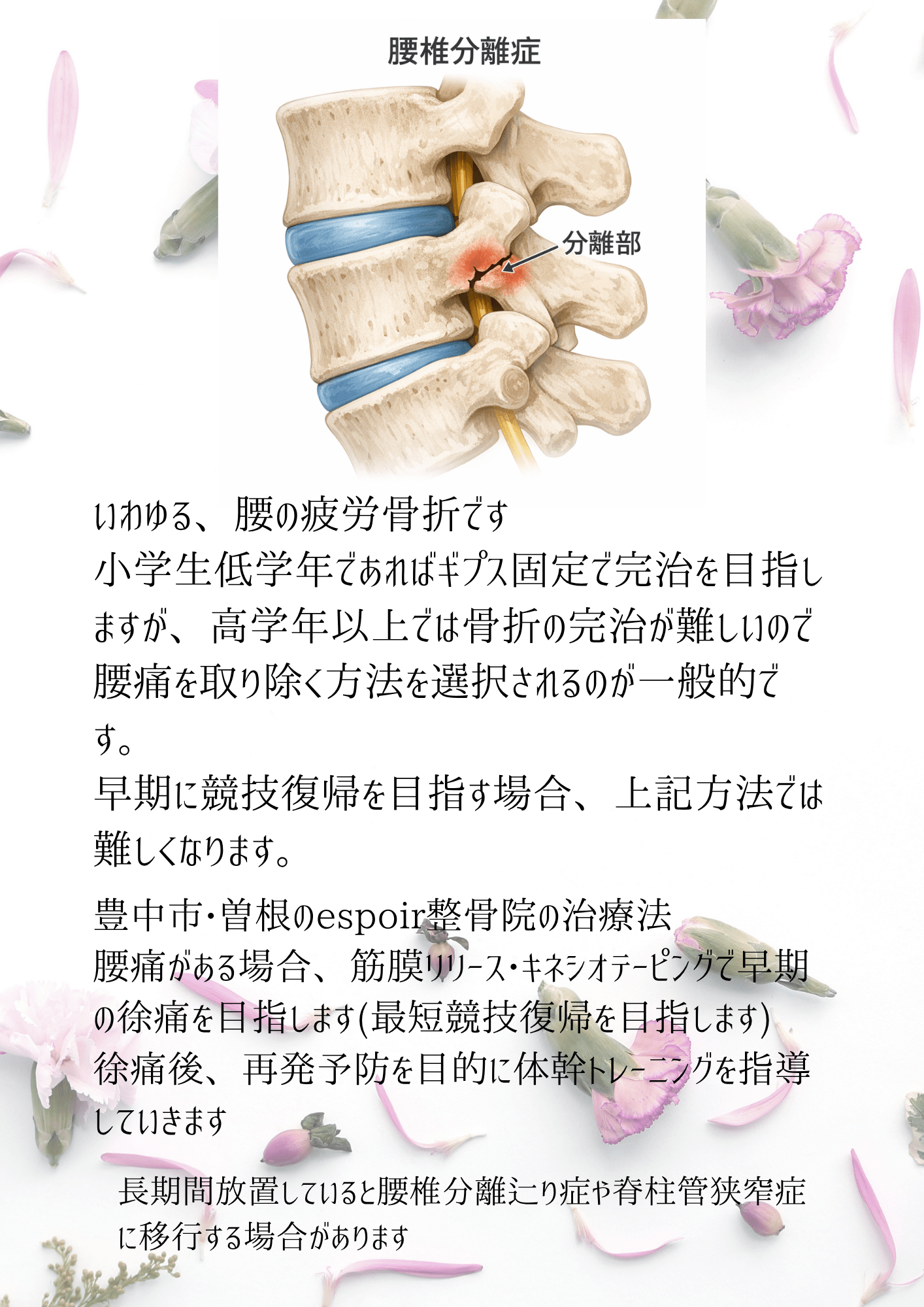 腰痛について - 豊中市